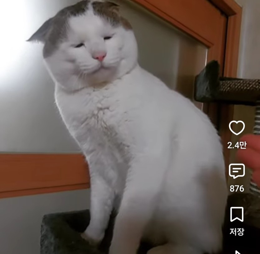 억울이 아시나요?(0)