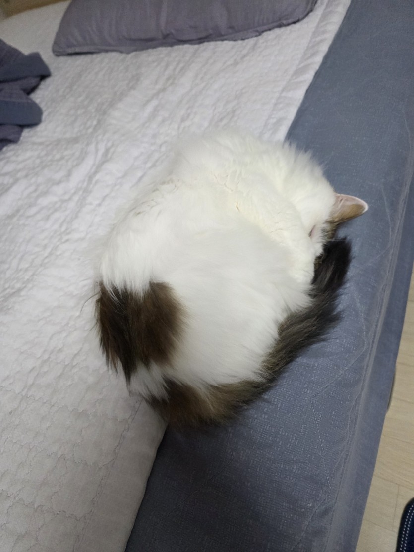 아기 ㄱㅇㅇ재우고(0)