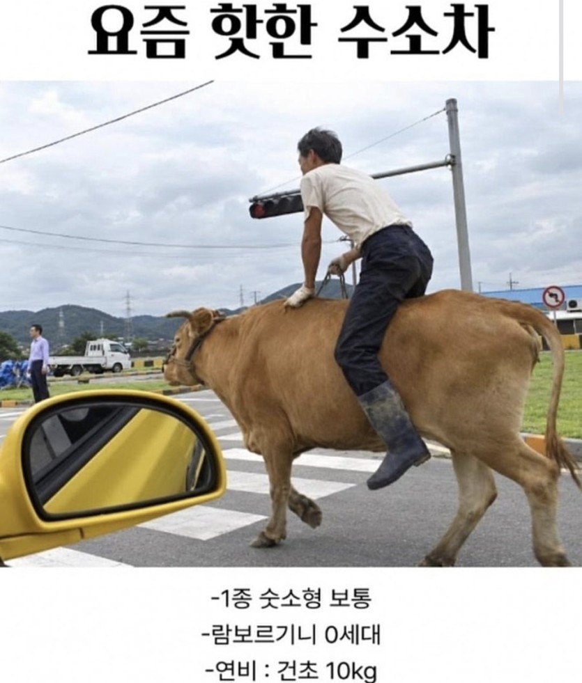 람보르기니 오너 있나요??(0)