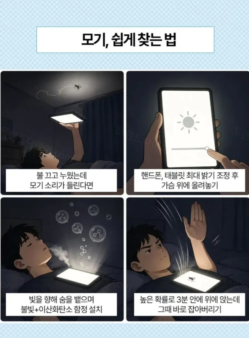 모기 잡는 꿀팁(0)