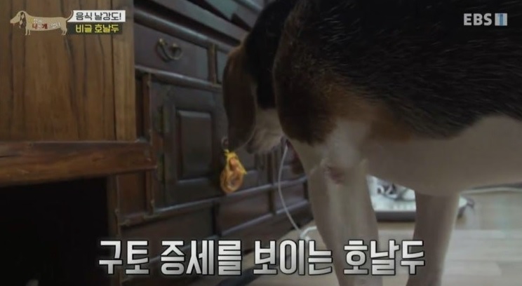 근데 메시 오늘 생각보다 별로 아니에연?(0)
