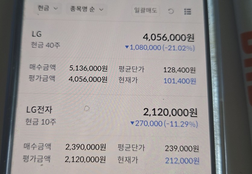 국내주식 존버하면(0)
