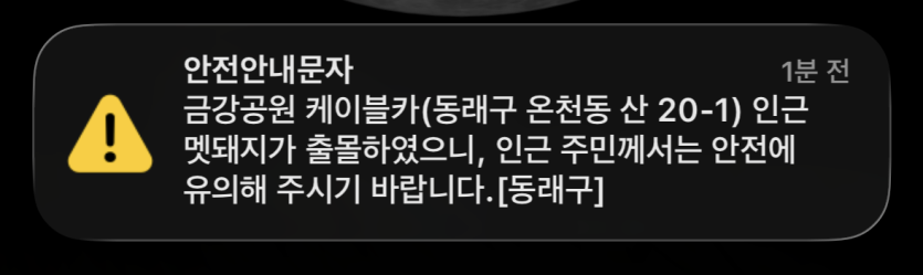 멧돼지가 배고픈가보네요 호호(0)