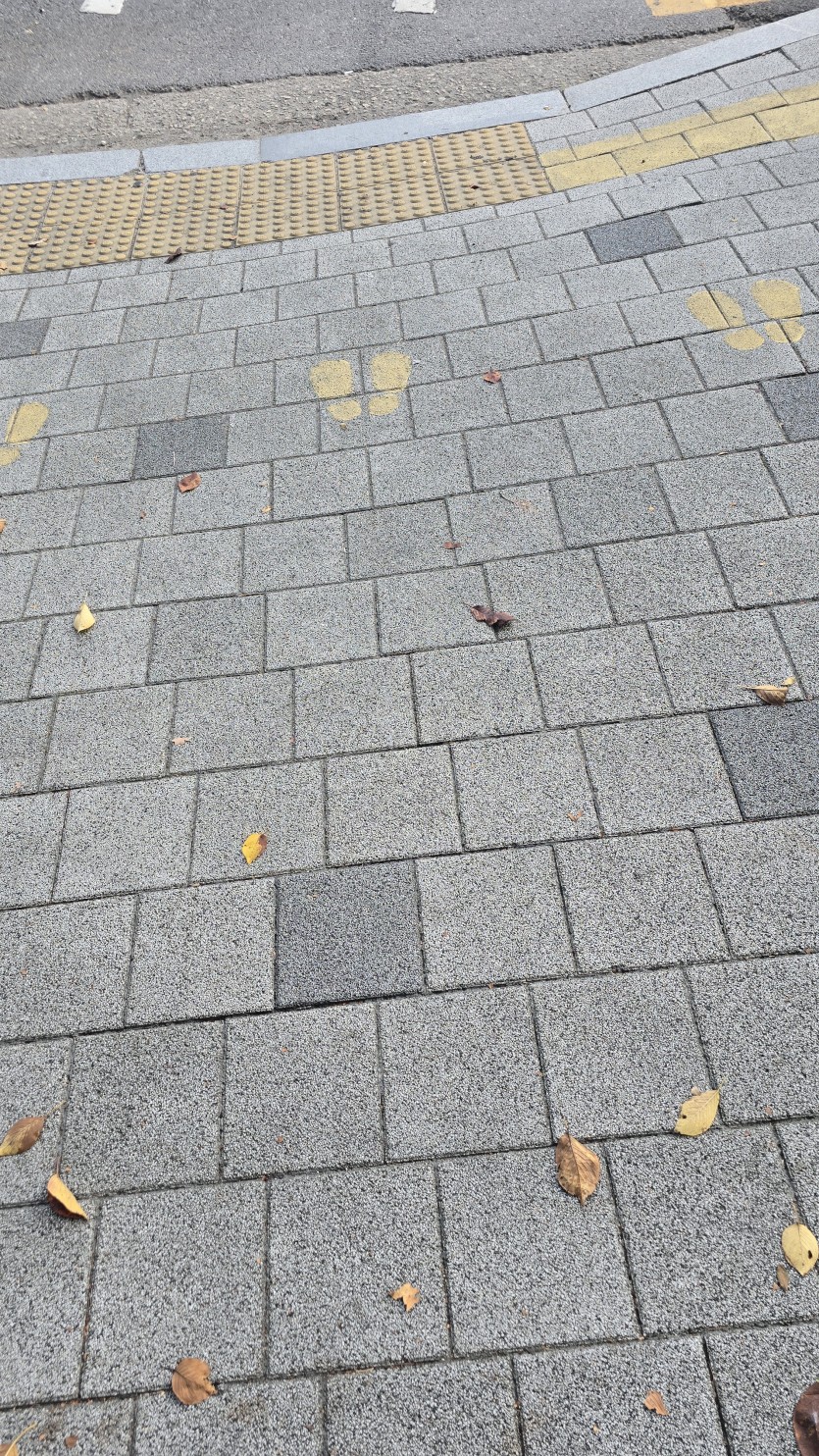 낙엽이가(0)