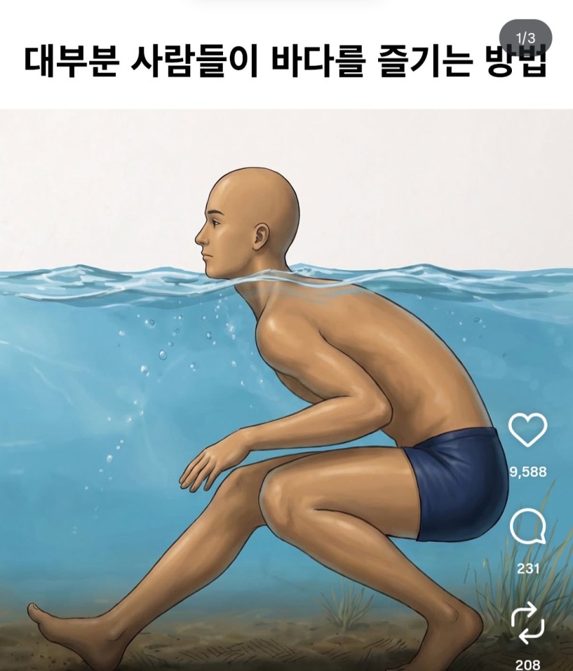 대부분의 사람이 바다를  즐기는 방법(0)