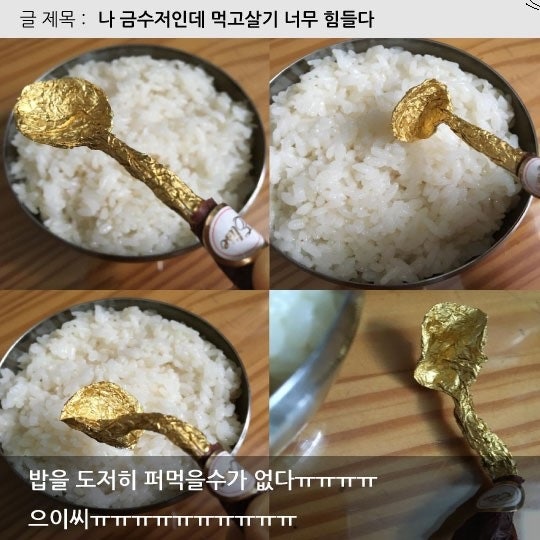 제가 사실 금수저입니다.....(0)