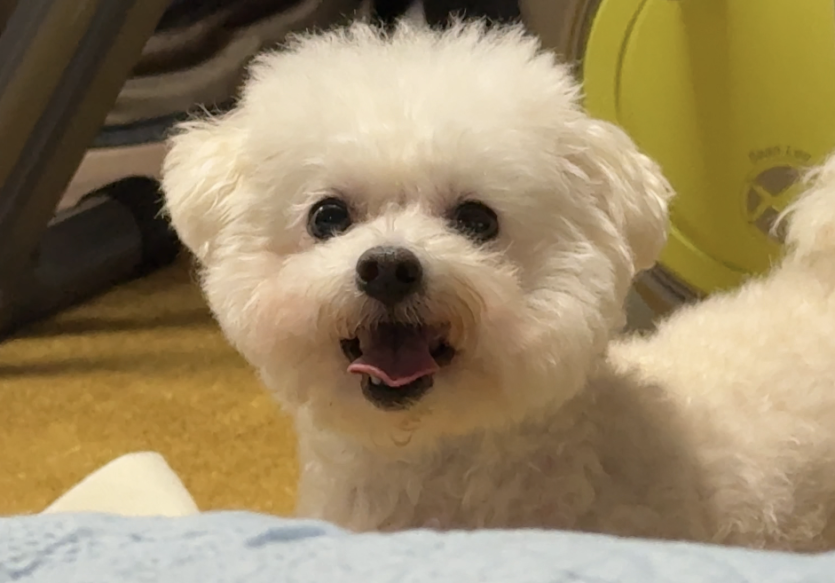 아침부터 난리이신분…(0)