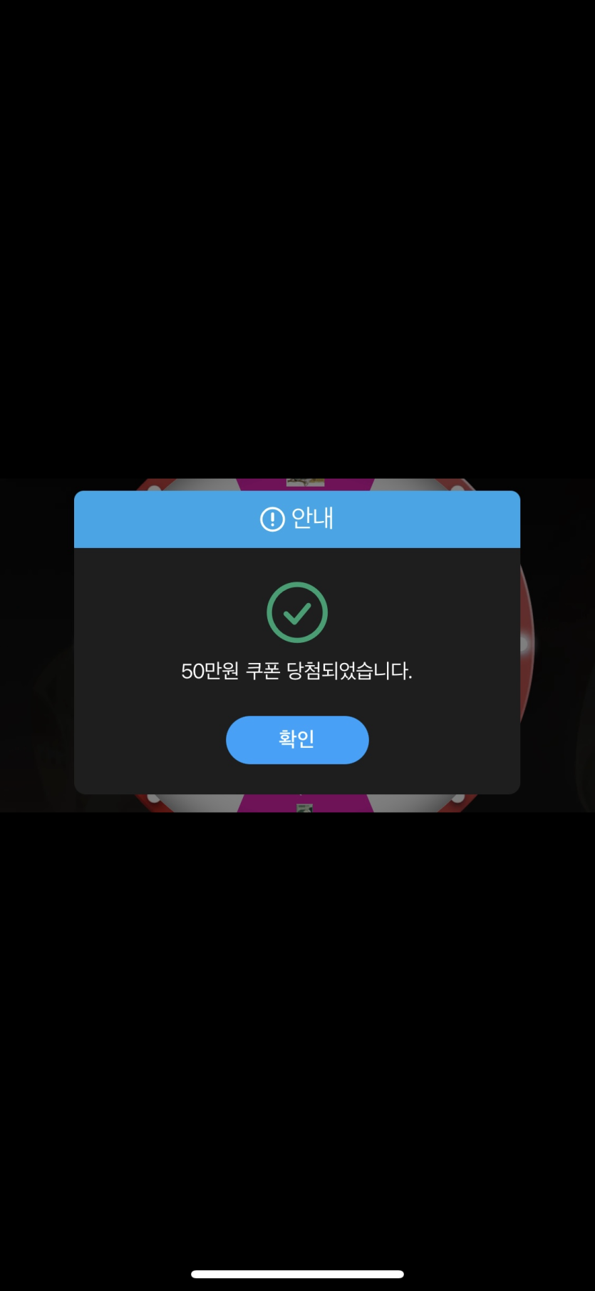 오오 비제 조키휠(0)