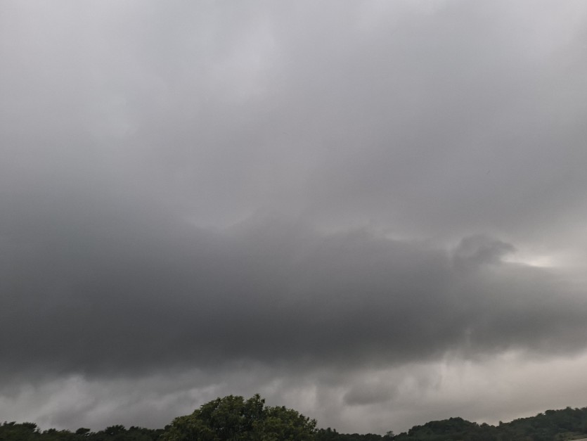 볼게없군요(0)