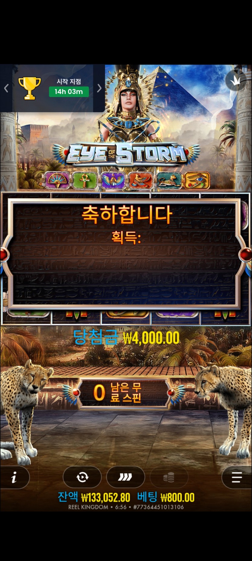 얀카후기(2)