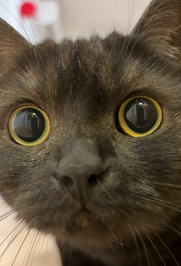 힐즈 아이즈 라는 영화 봅니다..(0)