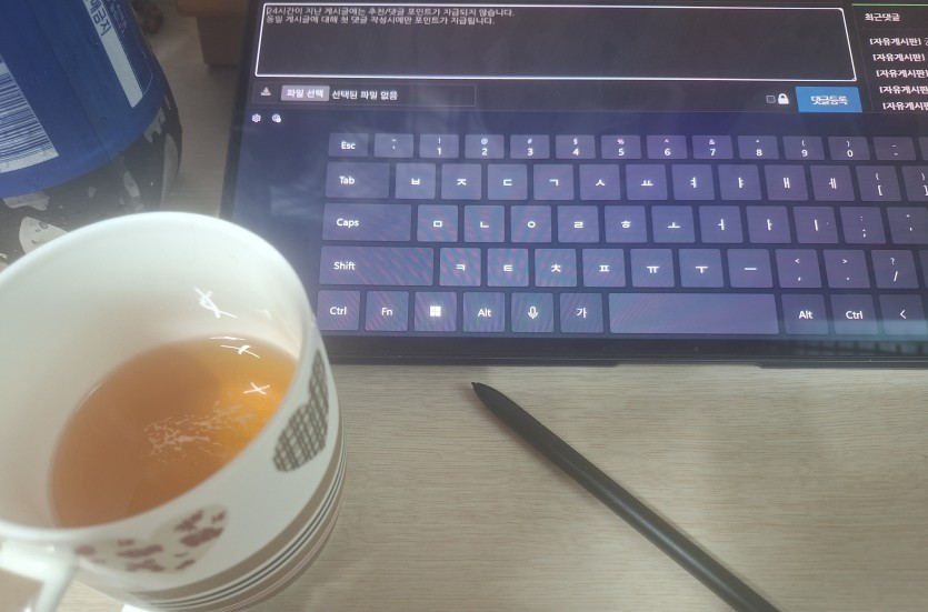 프로 댓노꾼(0)