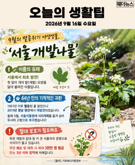 오늘의 생활팁스 서울 개발나물은 또 뭐여??ㅋㅋㅋㅋㅋㅋ(0)