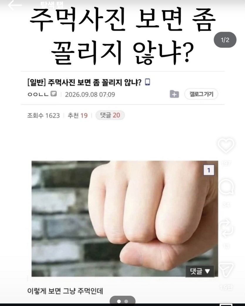 야 주먹 사진 보면 좀 꼴리지 않냐?(0)