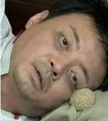 다들 환절기 감기 조심하셔야 할듯,,,,,(0)