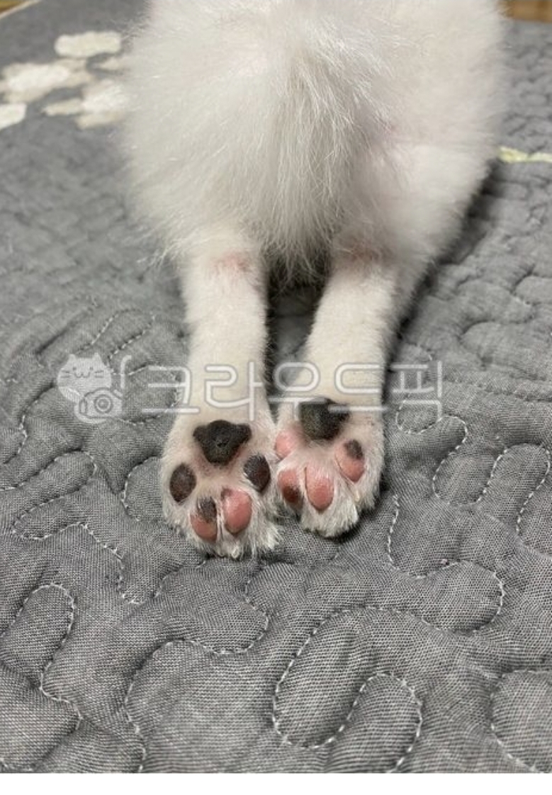 도박쟁이가 순진하고 착한이유(0)