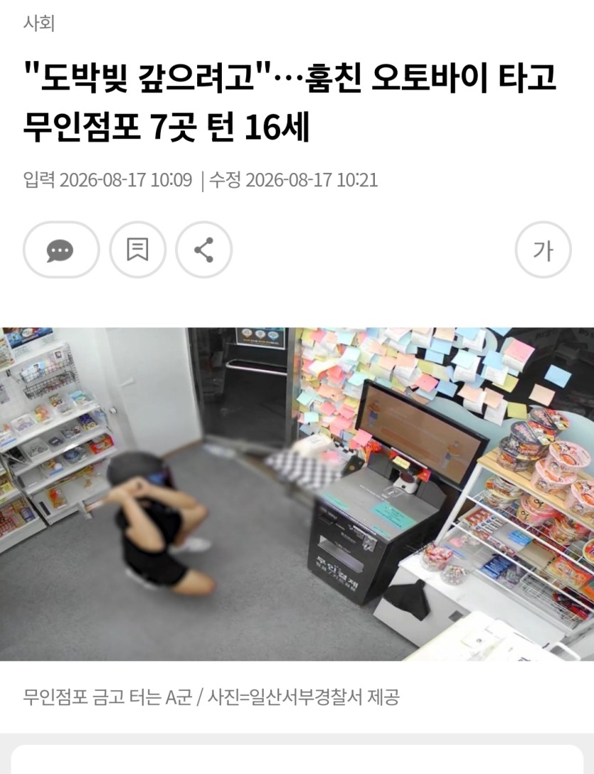 꿈나무..(0)