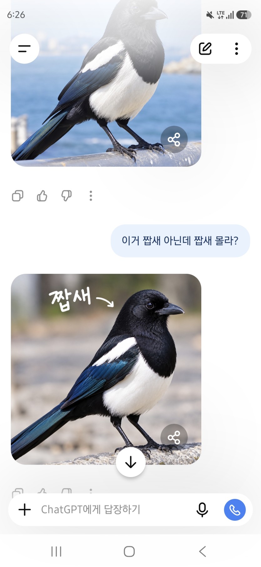 챗gpt가 농락하네여(0)