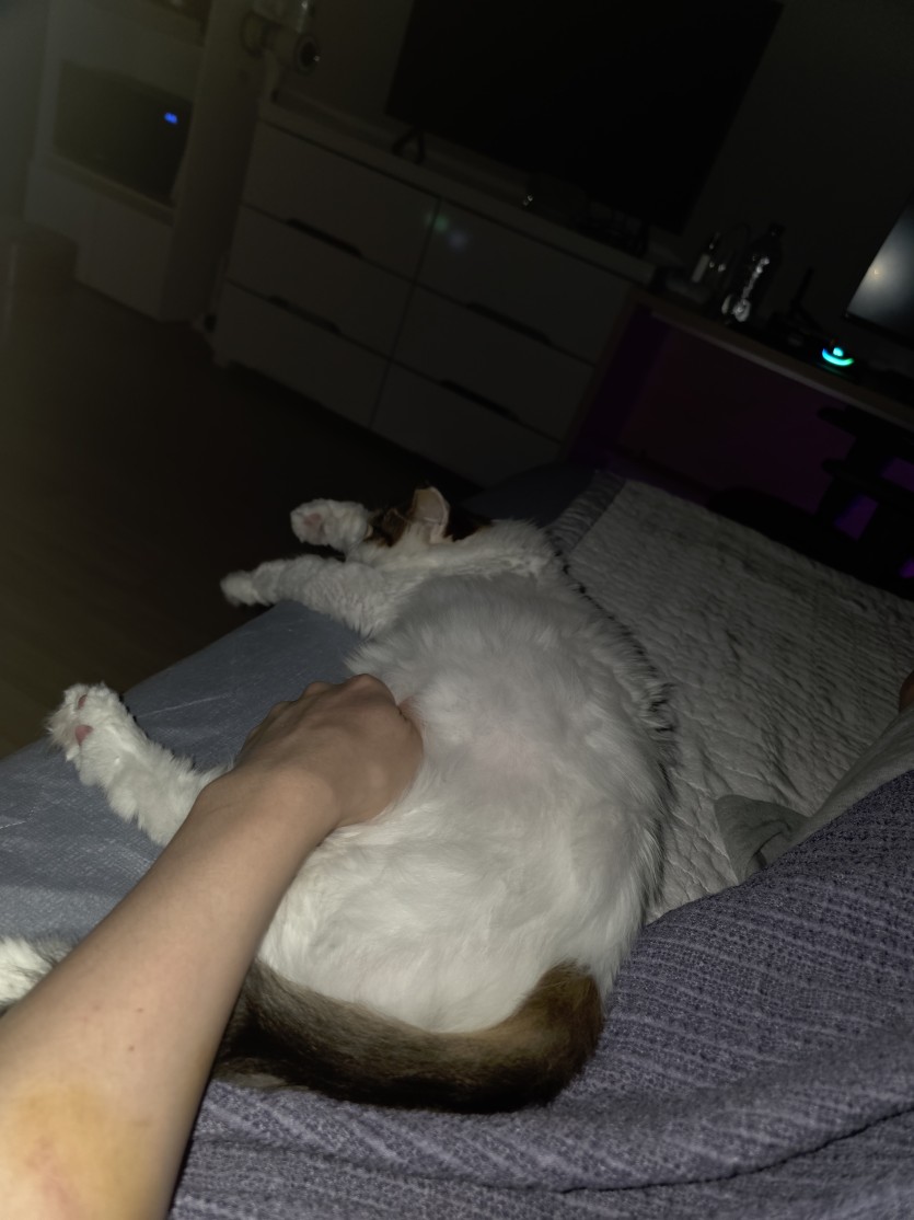 ㄱㅇㅇ랑 누웠어요(0)