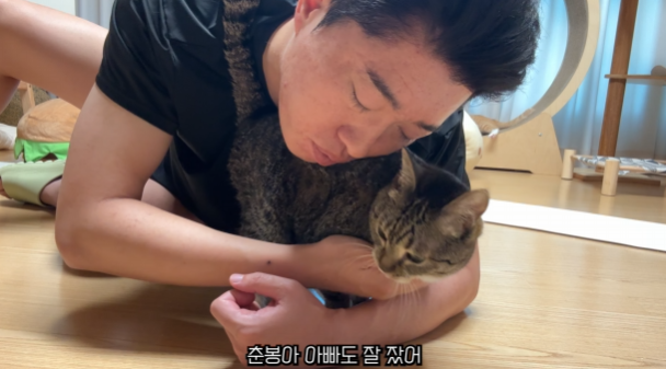 스포츠로 눈배린거 냐옹이로 힐링요(0)