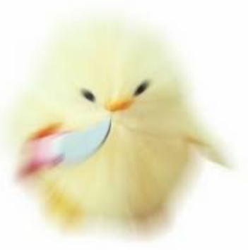 ㅂㄷㅂㄷ 뭘로 멘징을 해야하나(0)