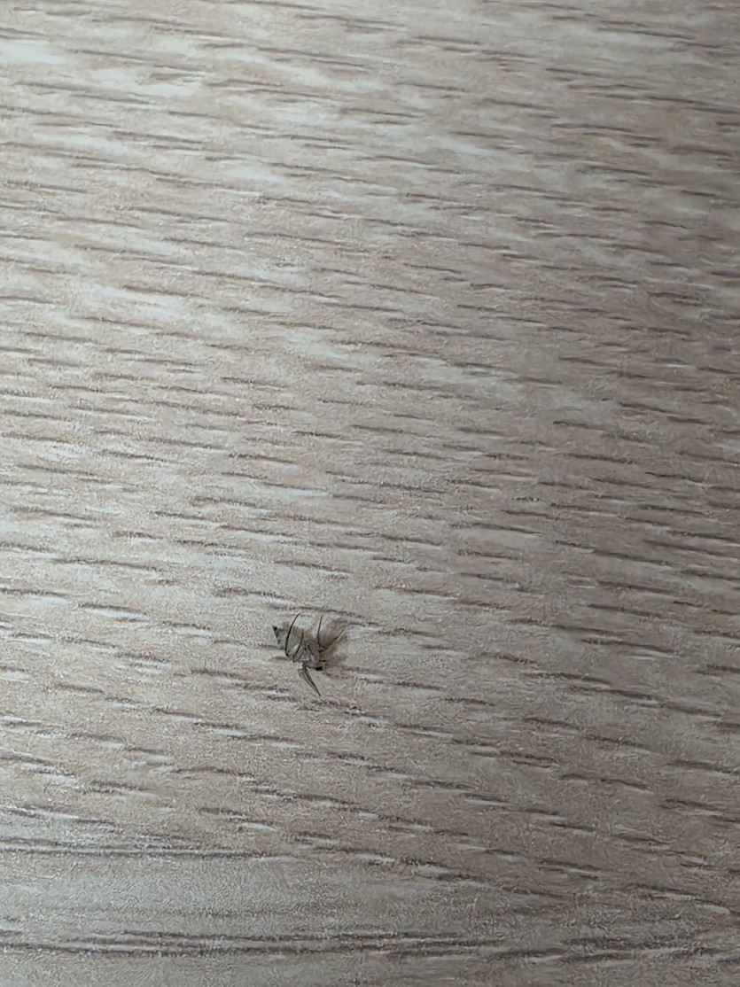 ㅆ발 니가 뭘할수있는데?(0)