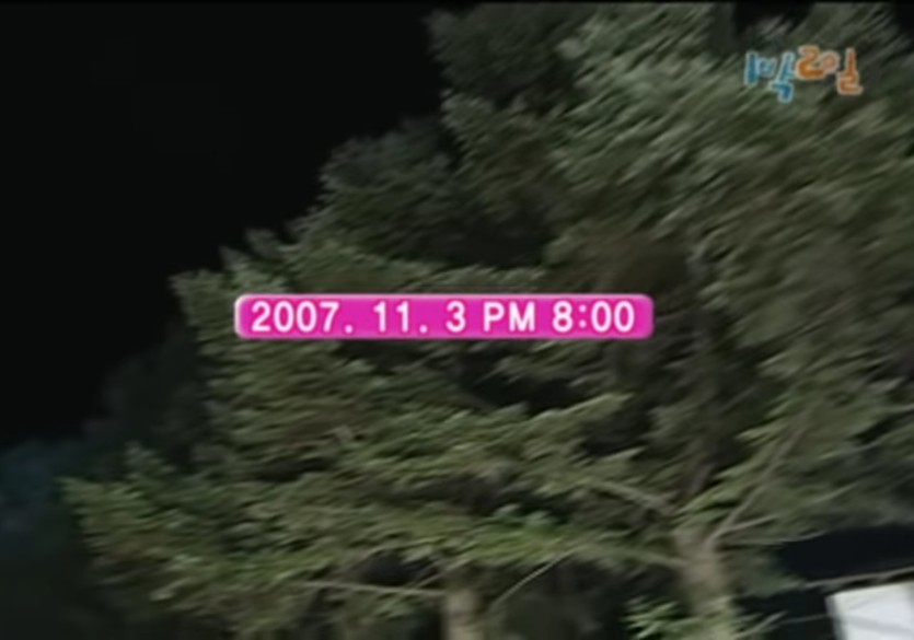 거의20년전 ㄷㄷ(0)