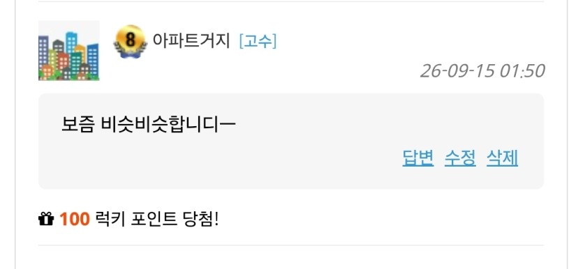 새벽 럭매기요(0)