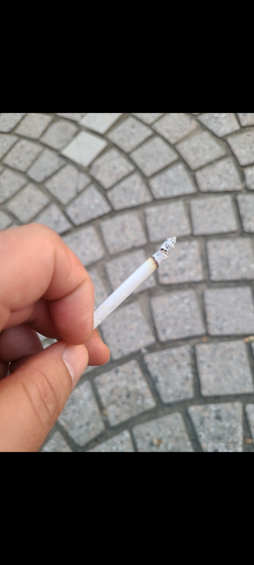 저녁쌈배 한대 ㅅㅅ(0)