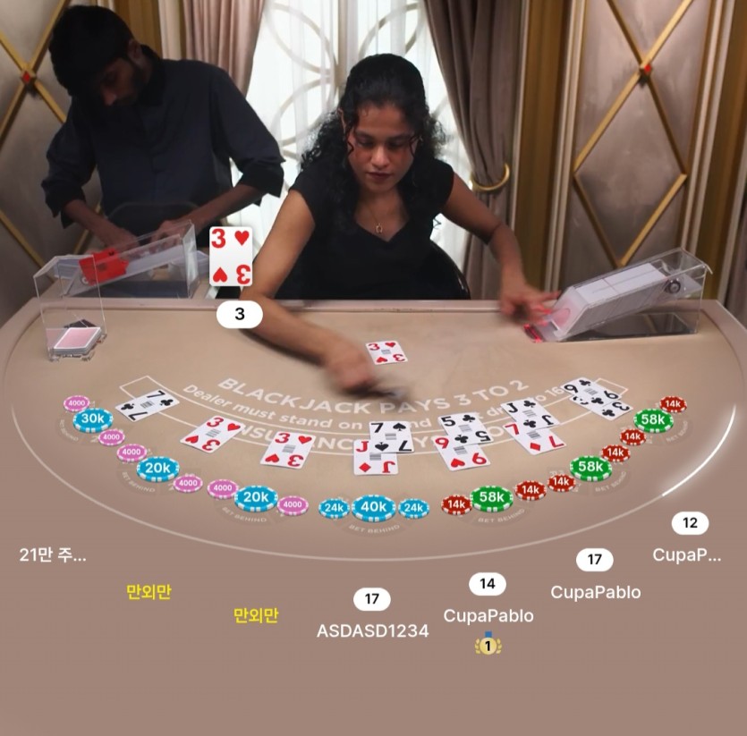 3하트 수티드 기회(0)