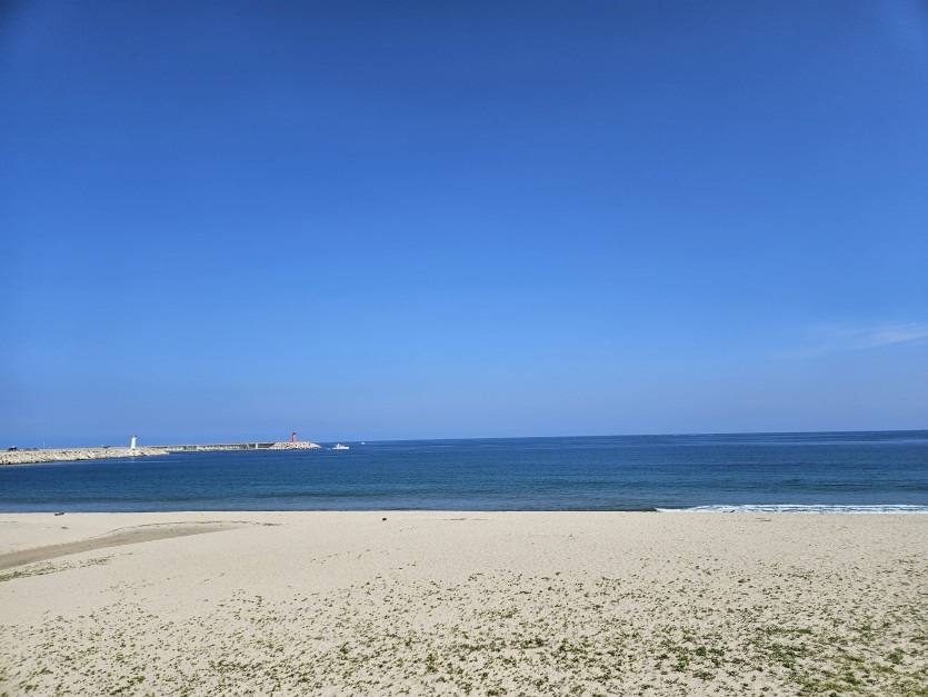 동해바다가 예쁘긴하네야(0)