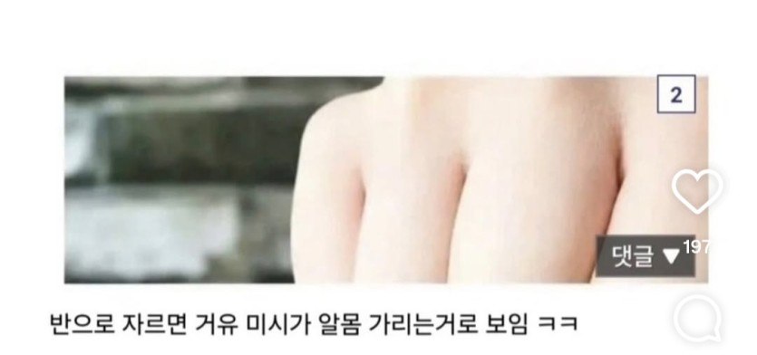 야 주먹 사진 보면 좀 꼴리지 않냐?(1)