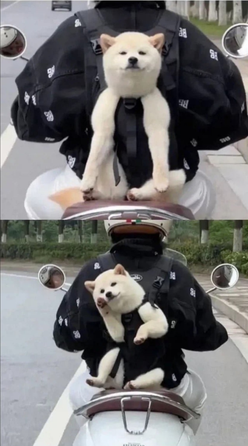 개방가(0)