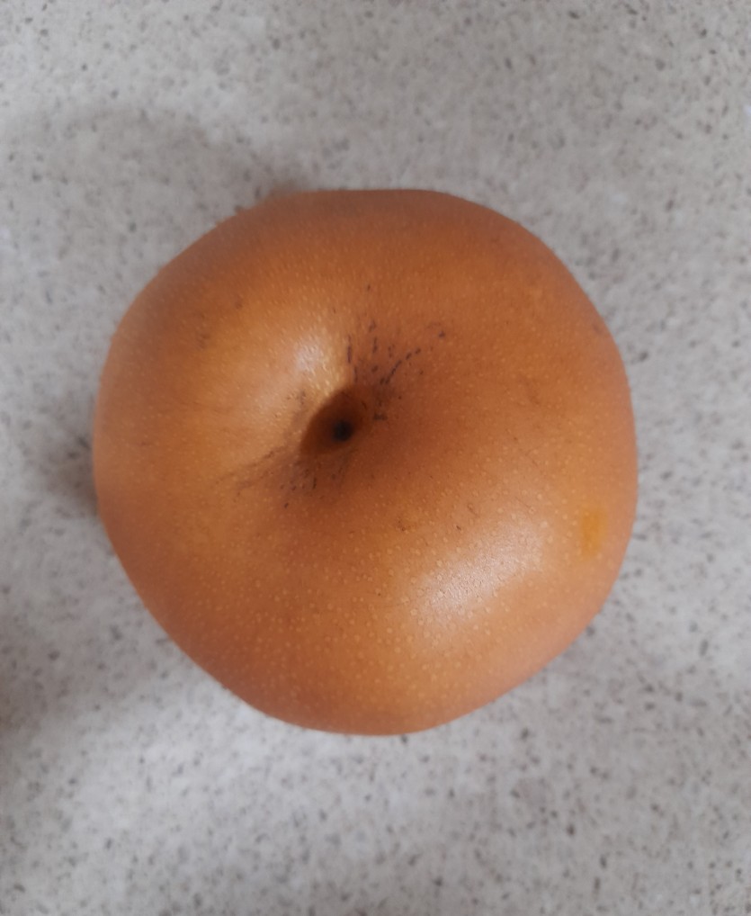 오늘 간식.!!(0)
