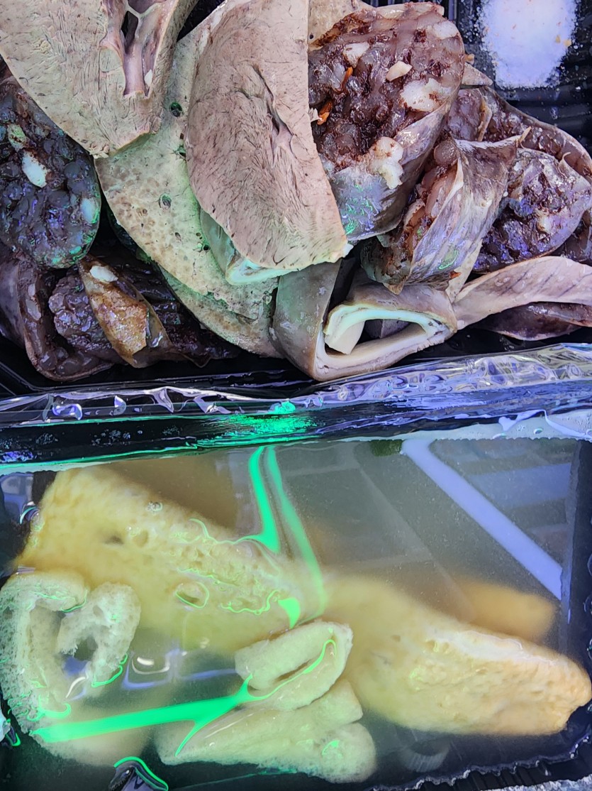 오늘의 야식은..?(1)