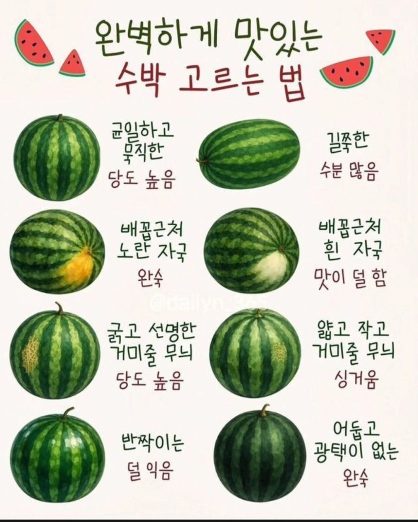 ❤️수박잘고르는방법(0)