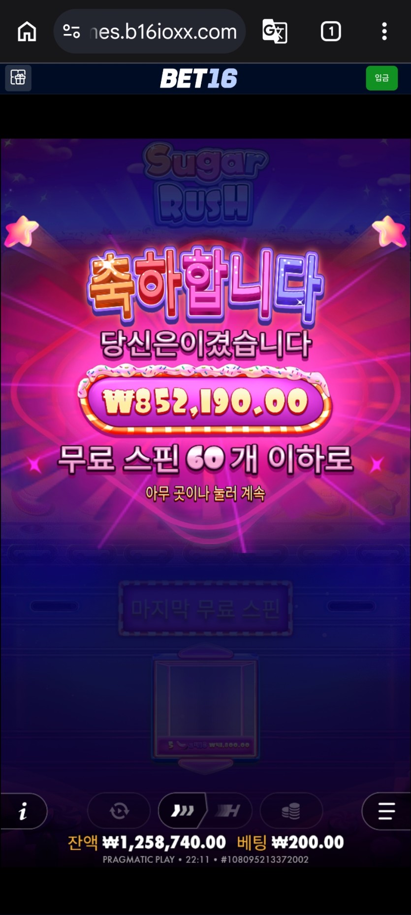 와방금 슈가러쉬(0)