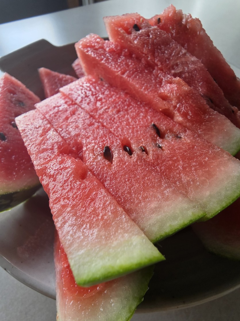수박썰었습니다(0)