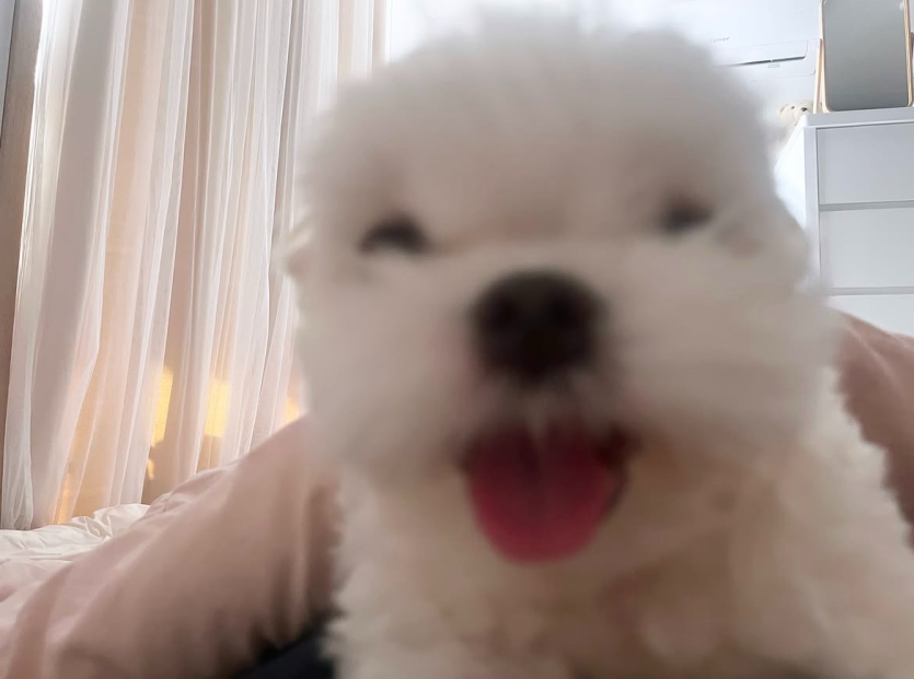 헉 진짠가여 ㄷㄷ(0)