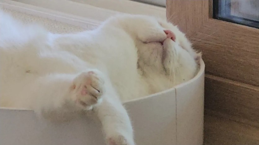 누가 몰래 저 찍었었네요(0)