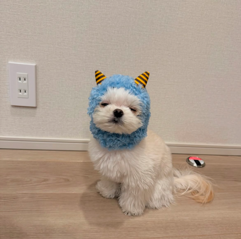 깊전 오나효(0)