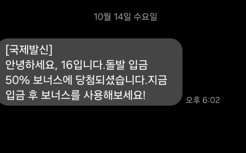 벳16(0)