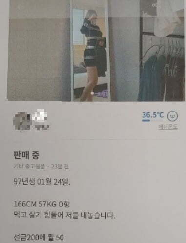 당근에 신기한 중고물품이 올라왔네요(0)