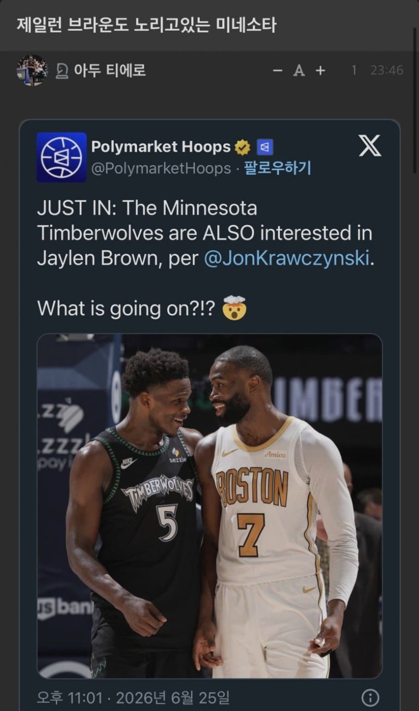 지금 난리 난 NBA 미네소타 행보 ㄷㄷㄷ(3)