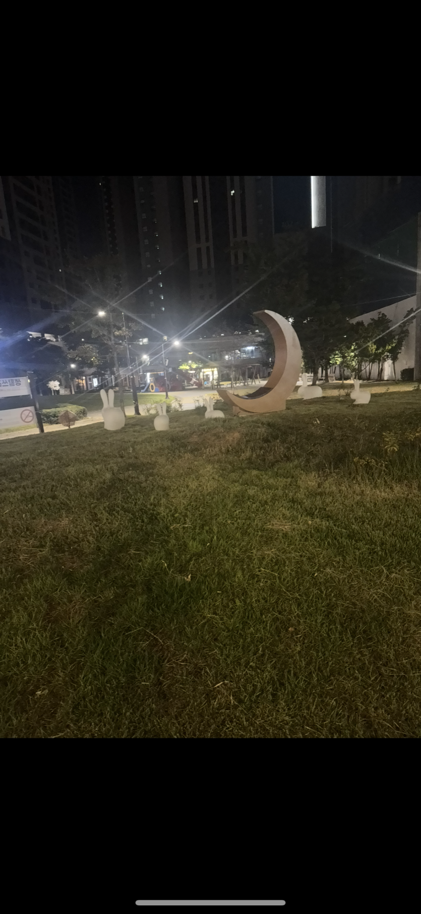 집앞에토끼들죽었네요(0)