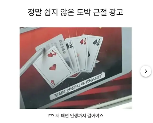 이정도면 인생을 걸만하지(0)