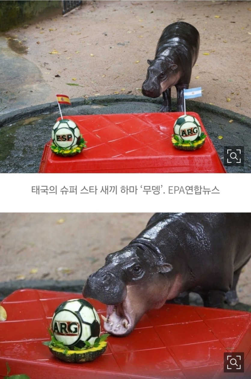 전 제자신을 못믿겠어요~~ㅠ(0)