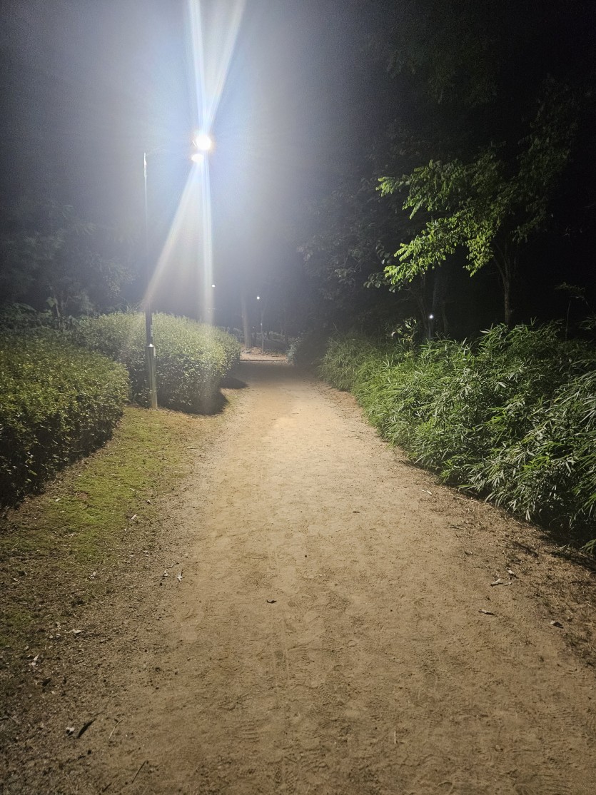 오늘 하루종일 멘탈나가서(0)