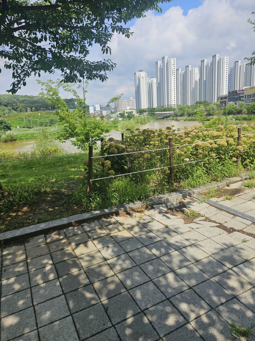 병원다녀오다(0)