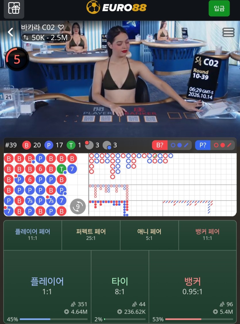 쭉빵걸은 어디가고(0)